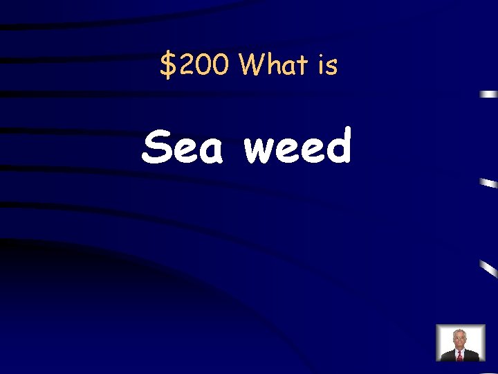 $200 What is Sea weed 