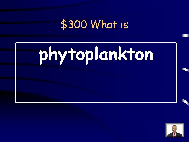 $300 What is phytoplankton 
