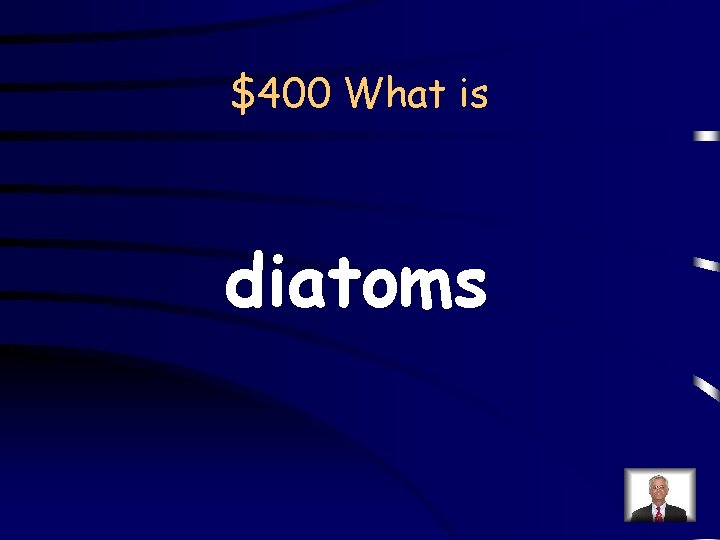 $400 What is diatoms 