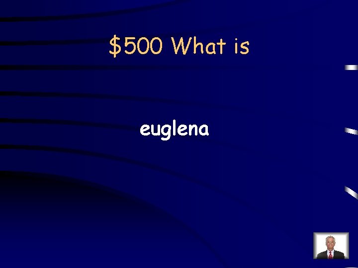 $500 What is euglena 