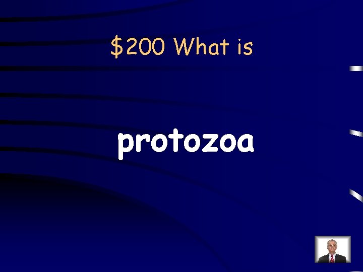 $200 What is protozoa 