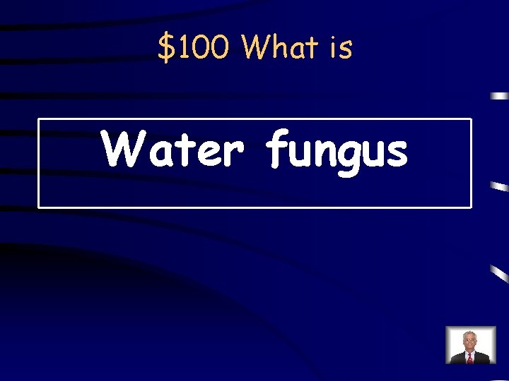 $100 What is Water fungus 