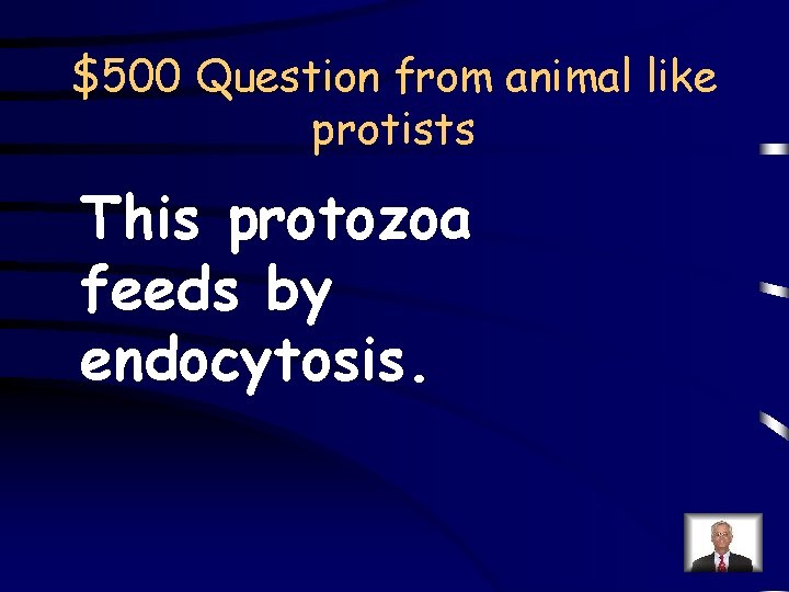 $500 Question from animal like protists This protozoa feeds by endocytosis. 