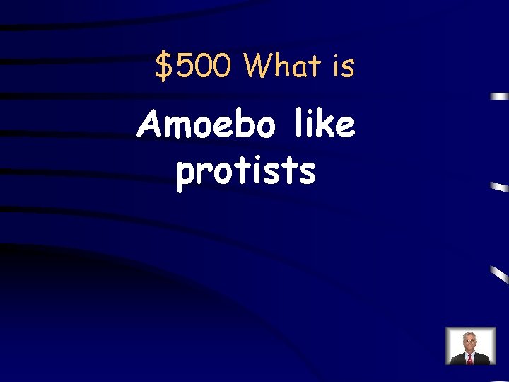 $500 What is Amoebo like protists 
