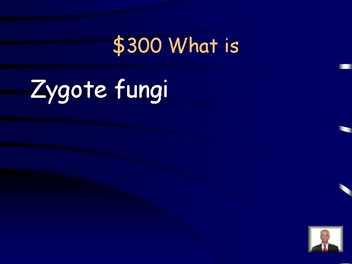 $300 What is Zygote fungi 