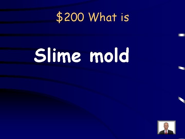 $200 What is Slime mold 