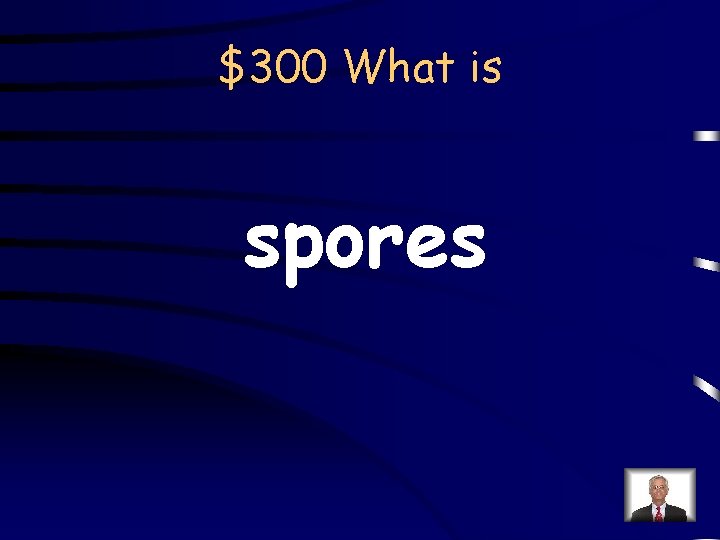 $300 What is spores 