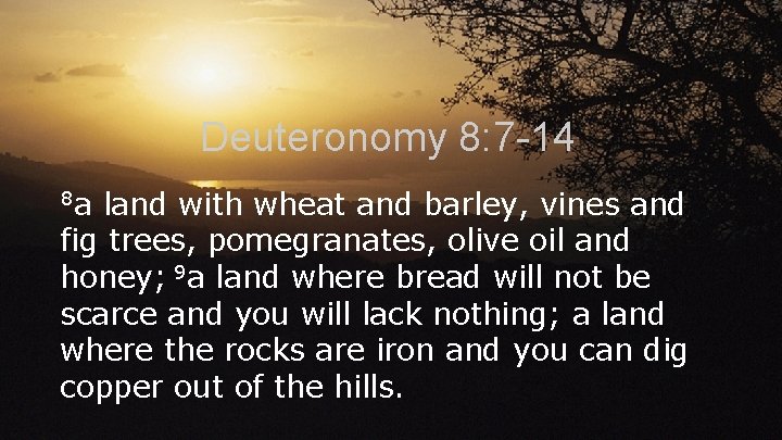 Deuteronomy 8: 7 -14 8 a land with wheat and barley, vines and fig
