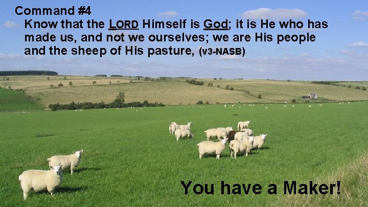 Command #4 Know that the LORD Himself is God; it is He who has