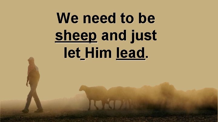 We need to be sheep and just let Him lead. 