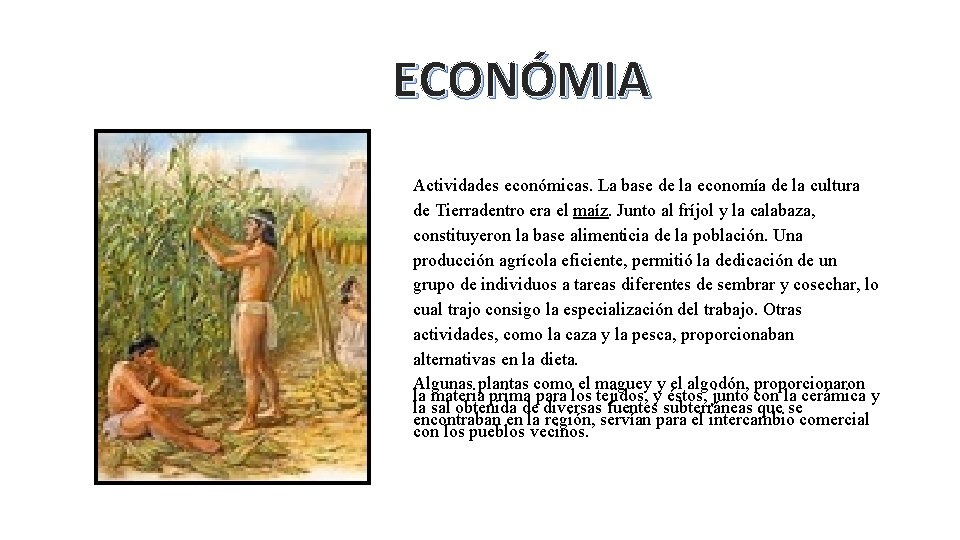 ECONÓMIA Actividades económicas. La base de la economía de la cultura de Tierradentro era ECONÓMIA Actividades económicas. La base de la economía de la cultura de Tierradentro era