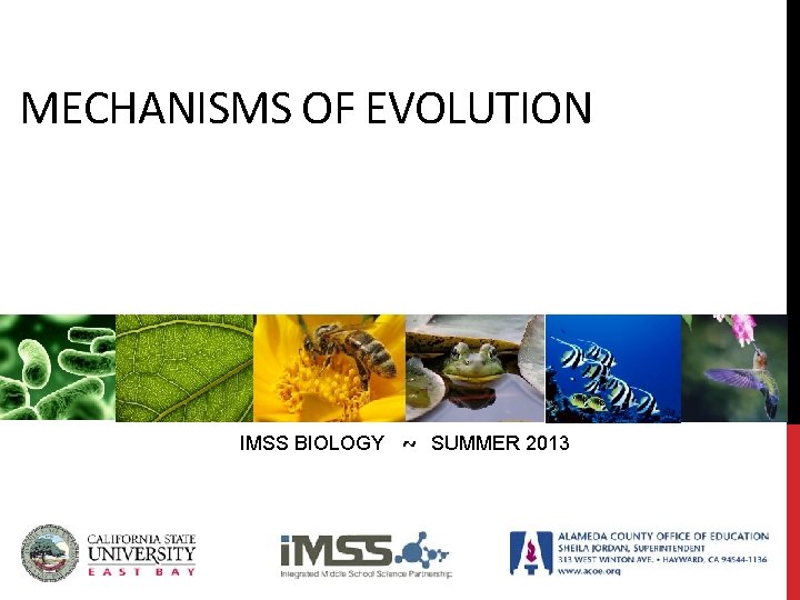 MECHANISMS OF EVOLUTION IMSS BIOLOGY ~ SUMMER 2013 