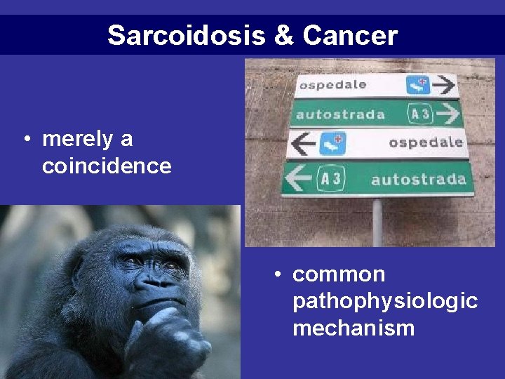 Sarcoidosis & Cancer • merely a coincidence • common pathophysiologic mechanism 