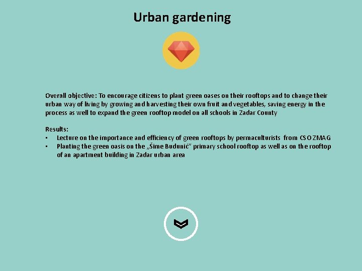 Urban gardening Overall objective: To encourage citizens to plant green oases on their rooftops