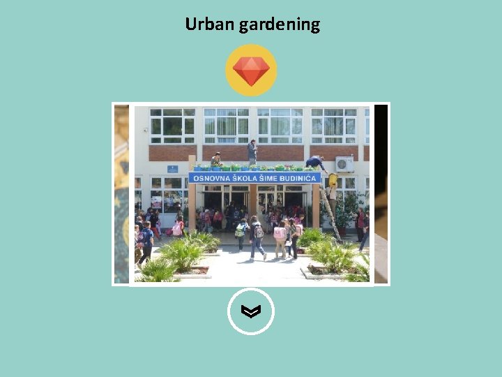 Urban gardening 