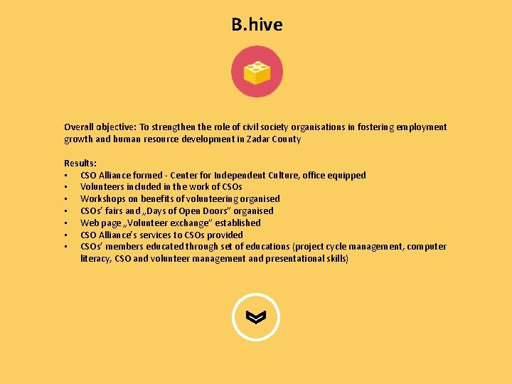 B. hive Overall objective: To strengthen the role of civil society organisations in fostering