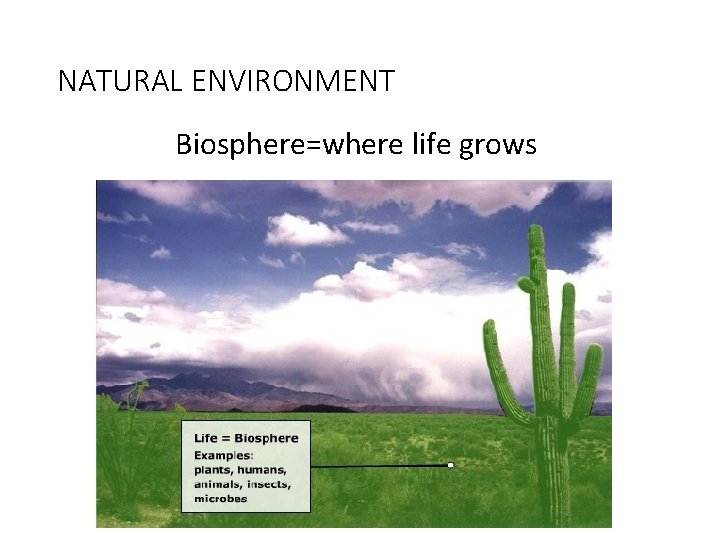 NATURAL ENVIRONMENT Biosphere=where life grows NATURAL ENVIRONMENT Biosphere=where life grows