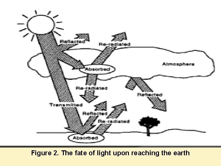 Figure 2. The fate of light upon reaching the earth 