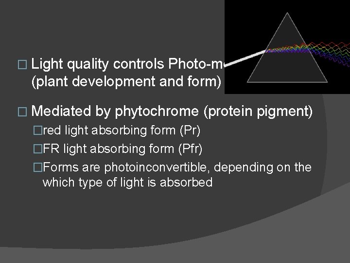 � Light quality controls Photo-morphogenesis (plant development and form) � Mediated by phytochrome (protein