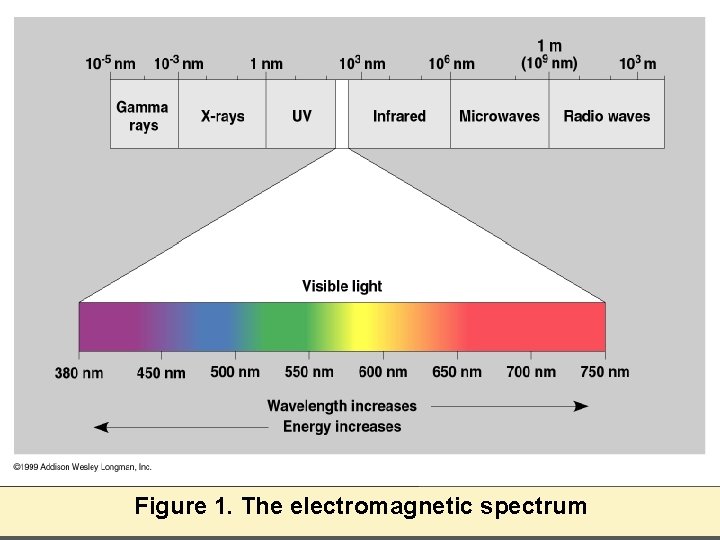 Figure 1. The electromagnetic spectrum 