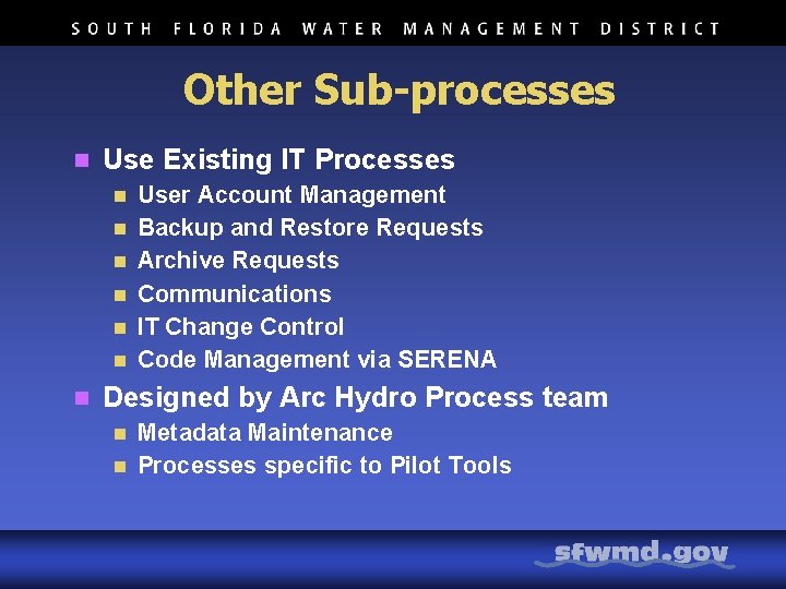 Other Sub-processes n Use Existing IT Processes n n n n User Account Management