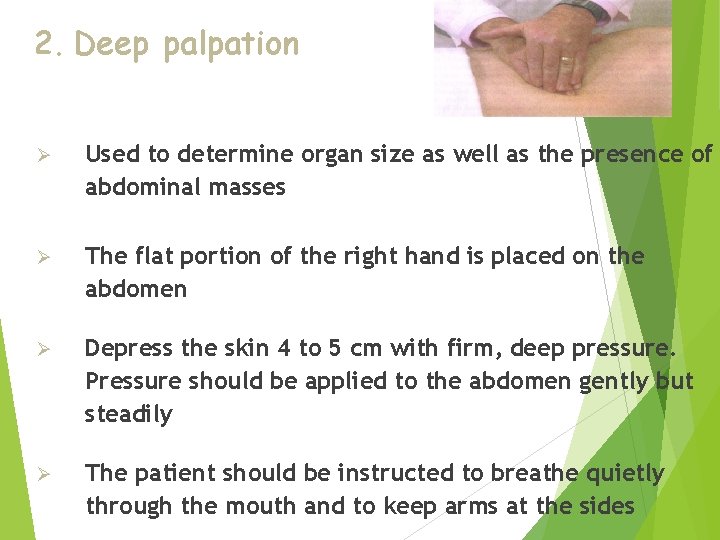 2. Deep palpation Ø Used to determine organ size as well as the presence