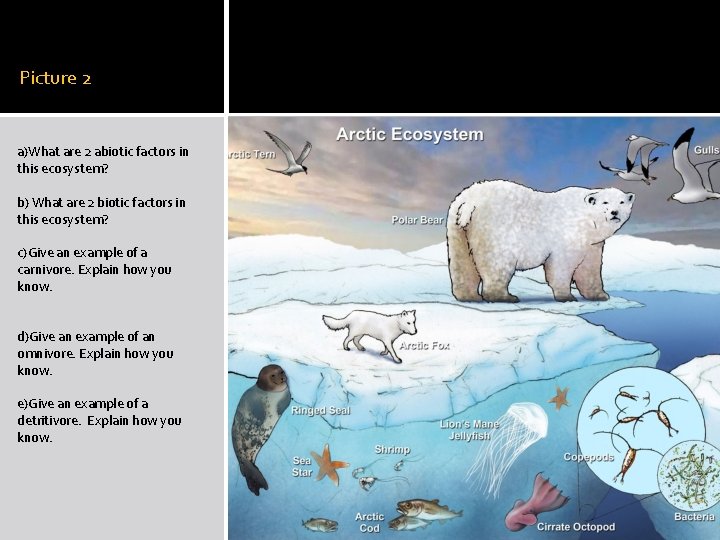 Picture 2 a)What are 2 abiotic factors in this ecosystem? b) What are 2