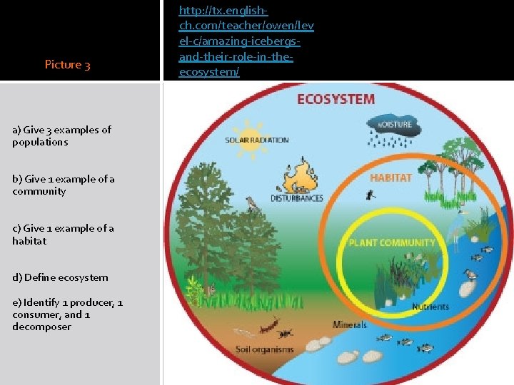 Picture 3 a) Give 3 examples of populations b) Give 1 example of a