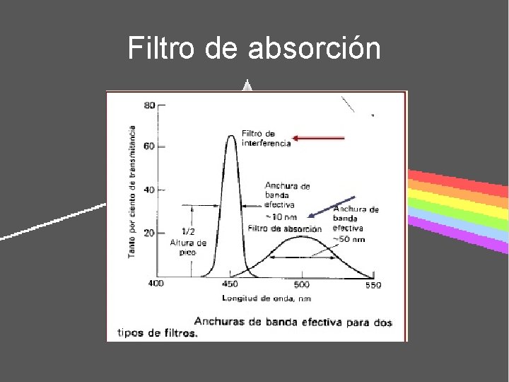 Filtro de absorción 