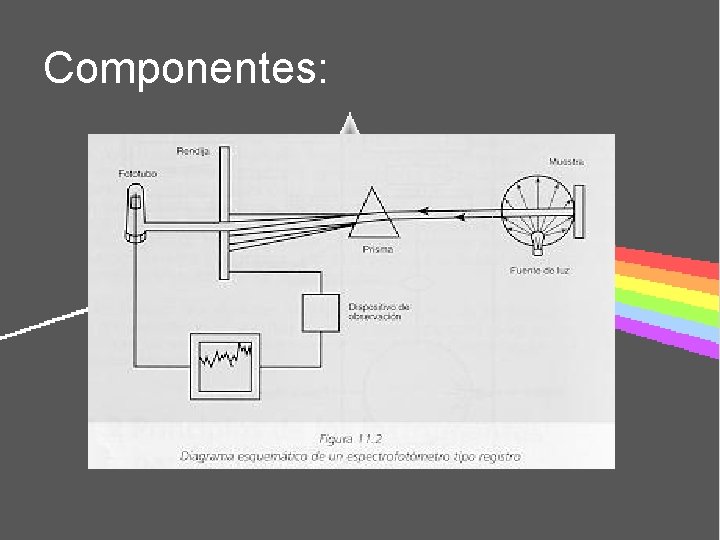 Componentes: 