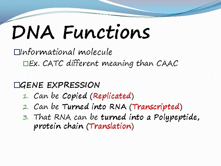 DNA Functions �Informational molecule �Ex. CATC different meaning than CAAC �GENE EXPRESSION 1. Can