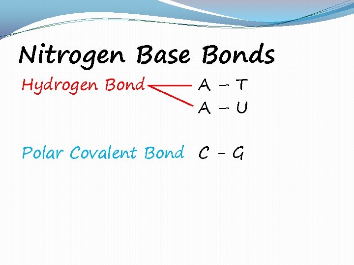 Nitrogen Base Bonds Hydrogen Bond A–T A–U Polar Covalent Bond C - G 