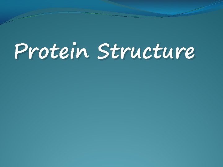 Protein Structure 