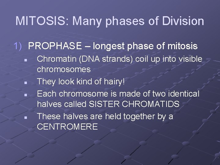 MITOSIS: Many phases of Division 1) PROPHASE – longest phase of mitosis n n MITOSIS: Many phases of Division 1) PROPHASE – longest phase of mitosis n n