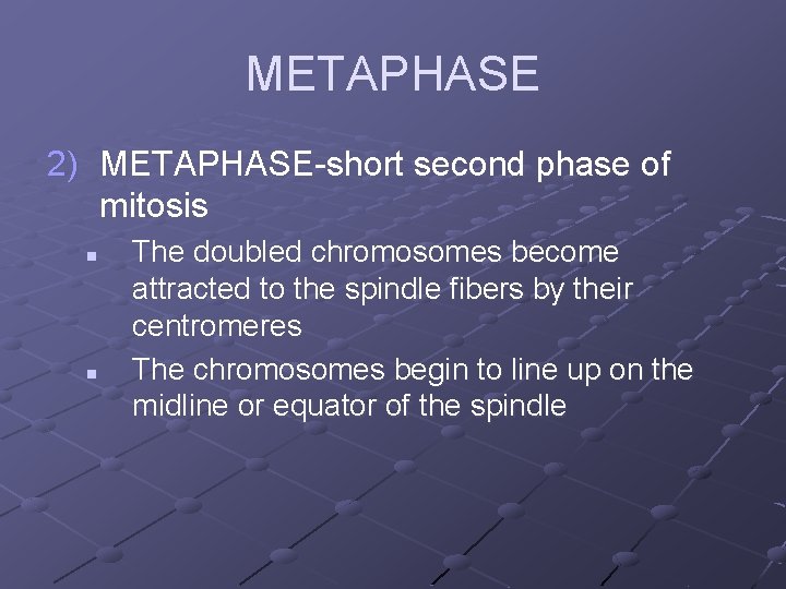 METAPHASE 2) METAPHASE-short second phase of mitosis n n The doubled chromosomes become attracted METAPHASE 2) METAPHASE-short second phase of mitosis n n The doubled chromosomes become attracted