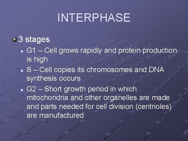 INTERPHASE 3 stages n n n G 1 – Cell grows rapidly and protein INTERPHASE 3 stages n n n G 1 – Cell grows rapidly and protein