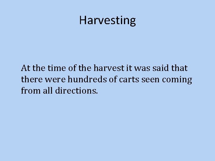 Harvesting At the time of the harvest it was said that there were hundreds