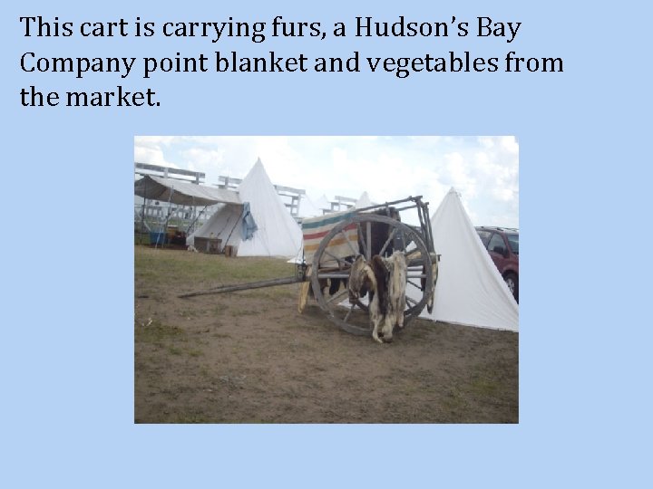 This cart is carrying furs, a Hudson’s Bay Company point blanket and vegetables from