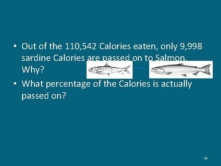  • Out of the 110, 542 Calories eaten, only 9, 998 sardine Calories