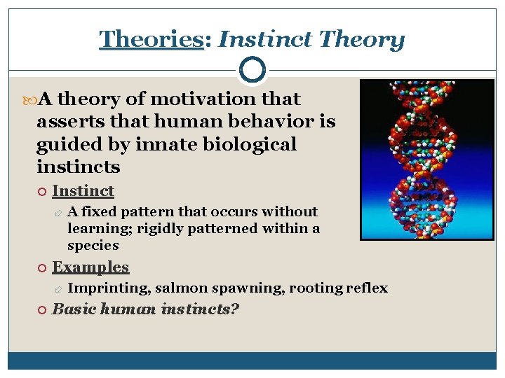 Theories: Instinct Theory A theory of motivation that asserts that human behavior is guided