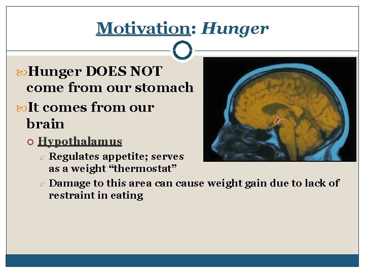 Motivation: Hunger DOES NOT come from our stomach It comes from our brain Hypothalamus