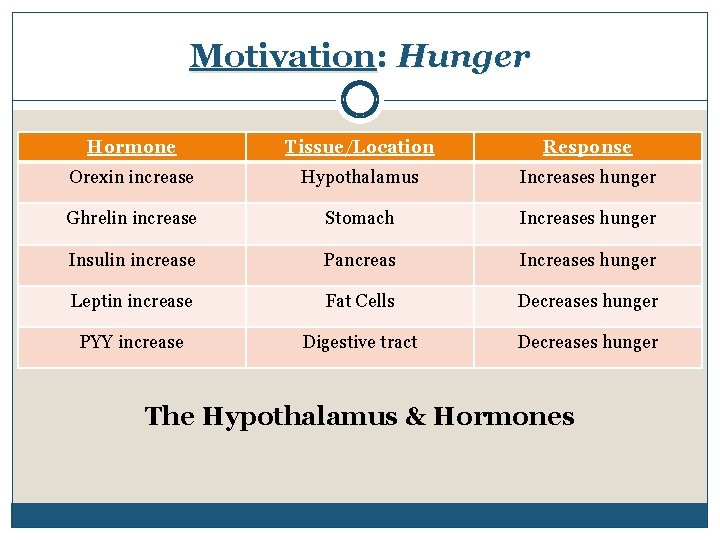 Motivation: Hunger Hormone Tissue/Location Response Orexin increase Hypothalamus Increases hunger Ghrelin increase Stomach Increases