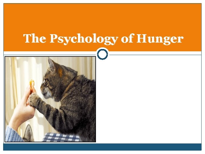 The Psychology of Hunger 