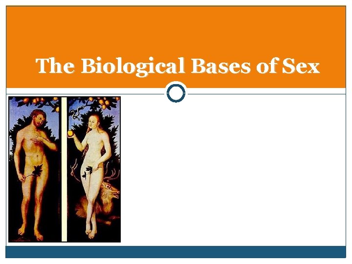 The Biological Bases of Sex 