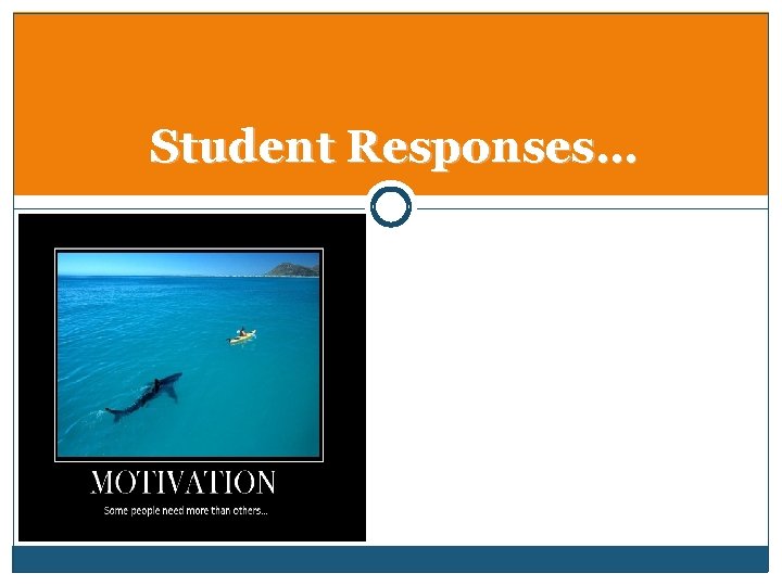 Student Responses… 