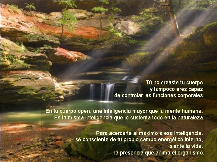 Tú no creaste tu cuerpo, y tampoco eres capaz de controlar las funciones corporales.