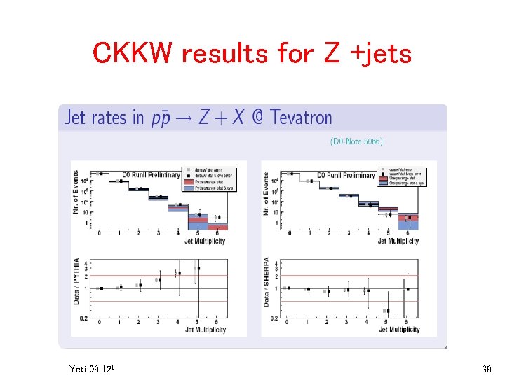 CKKW results for Z +jets Yeti 09 12 th 39 