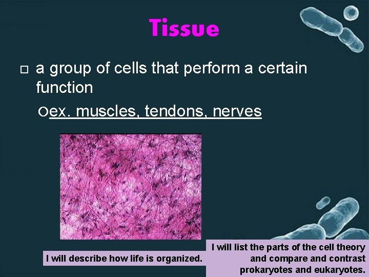 Tissue a group of cells that perform a certain function ex. muscles, tendons, nerves