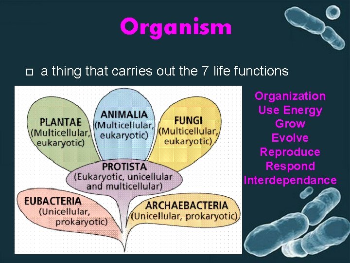 Organism a thing that carries out the 7 life functions Organization Use Energy Grow