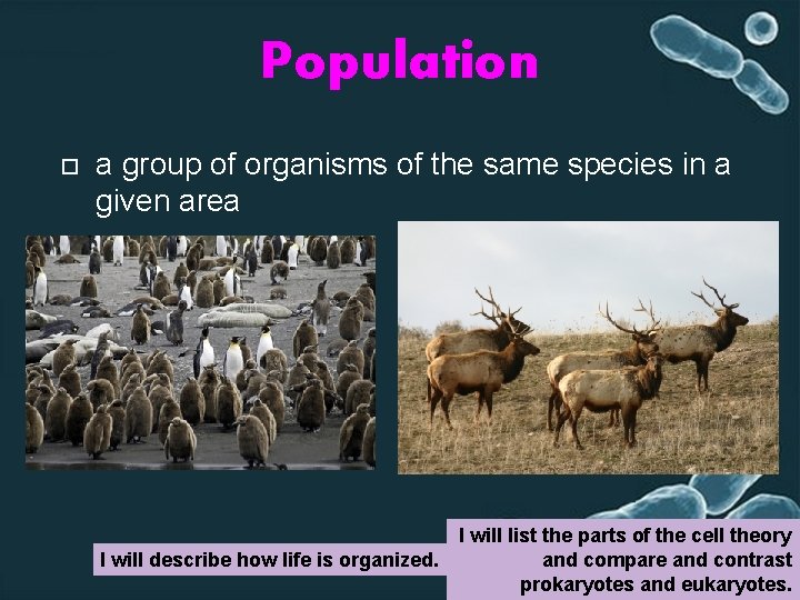 Population a group of organisms of the same species in a given area I